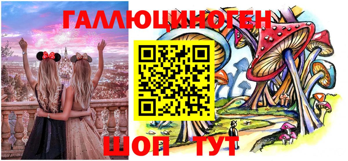 Псилоцибиновые грибы Psilocybine cubensis Черкесск