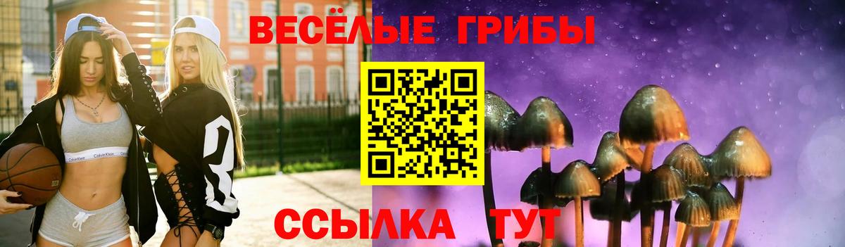 Черкесск  Псилоцибиновые грибы прущие грибы  Вход с VPN  Псилоцибиновые грибы Psilocybe 